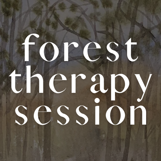 Forest Therapy Walk & Art Experience
