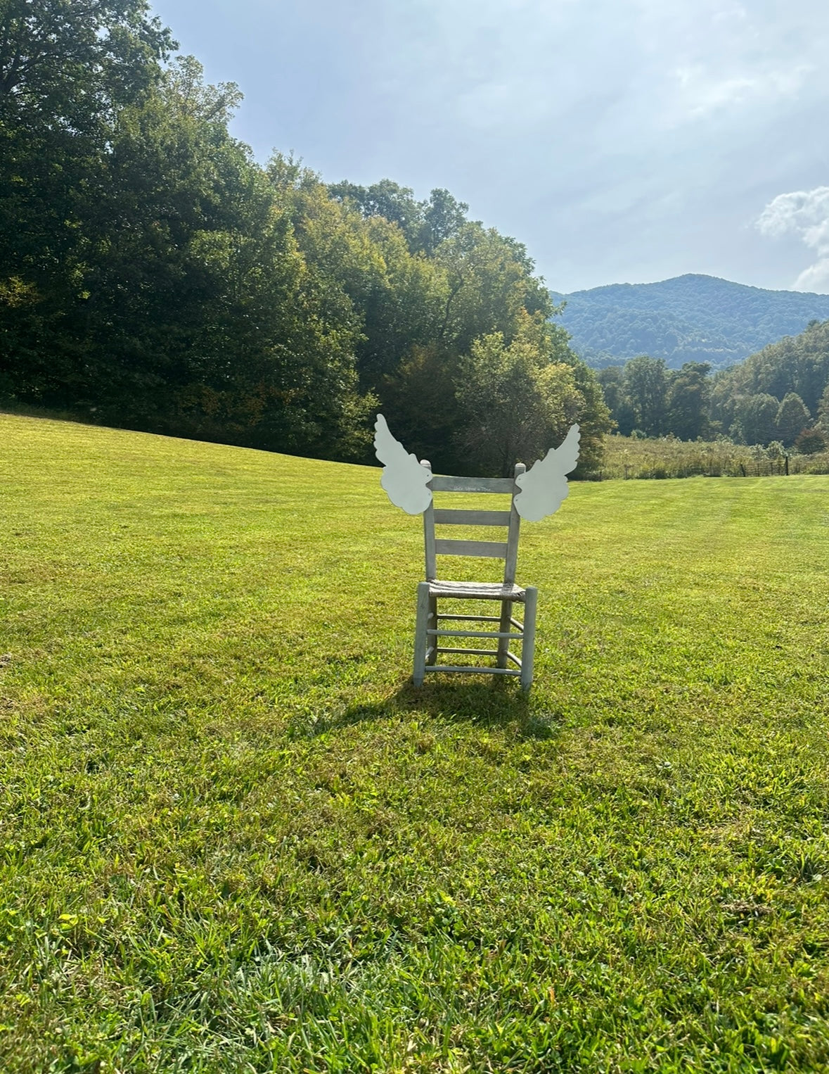 dreaming chairs