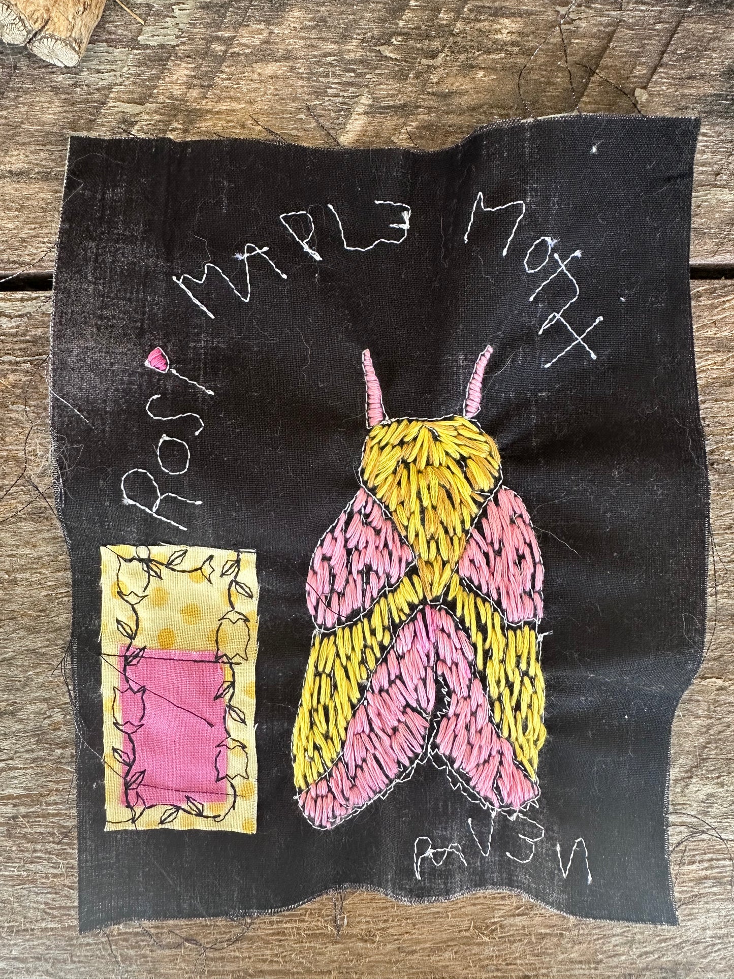 Rosy Maple Moth patch