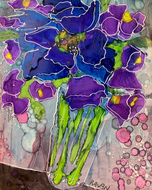 Campanula Bellflowers