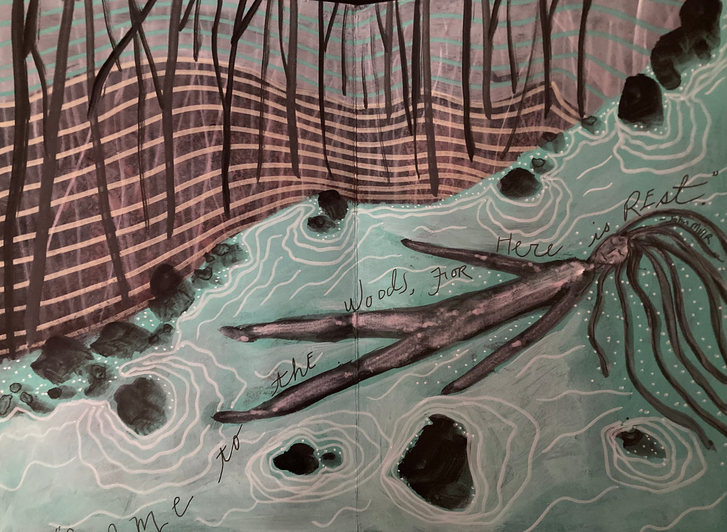 “A Nature’s Handbook”