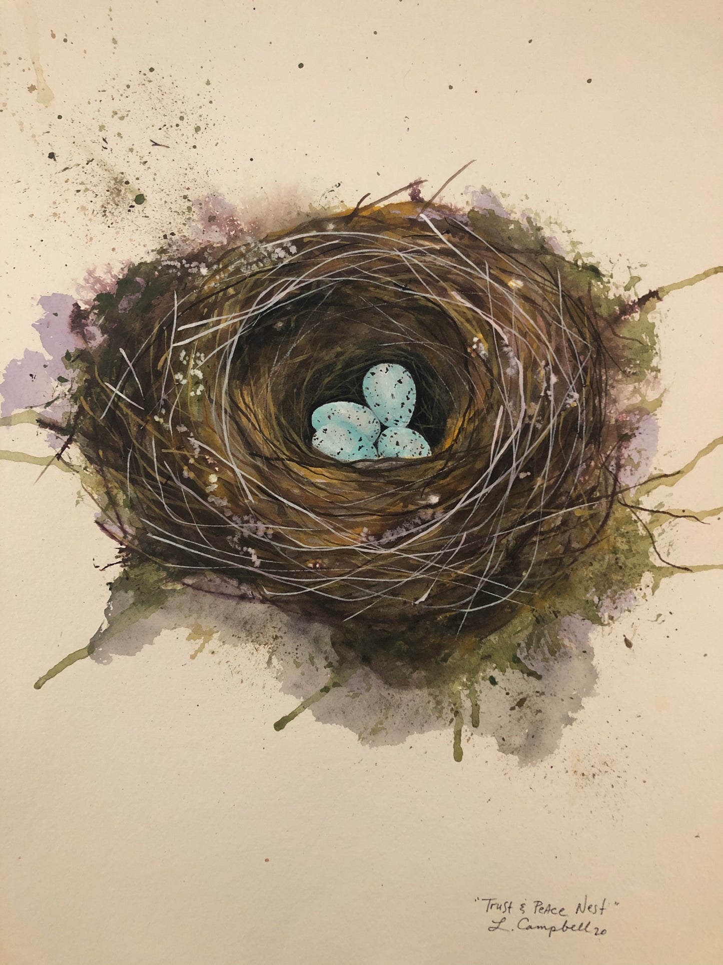 “Trust & Peace Nest”