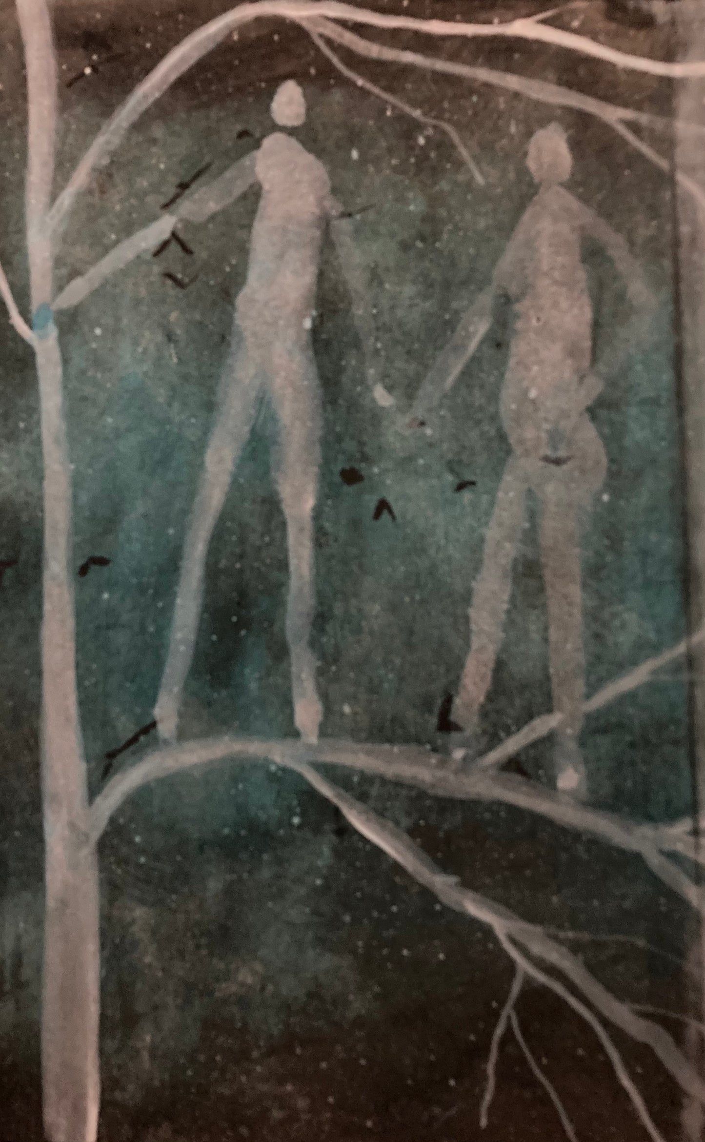 “A Nature’s Handbook”