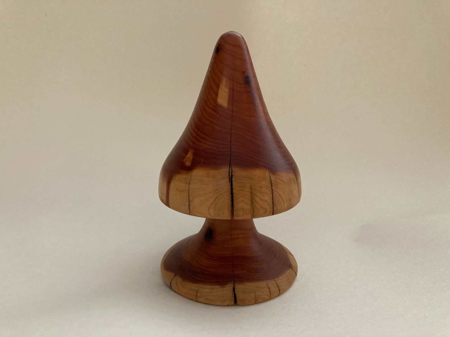 Woodland Mushroom