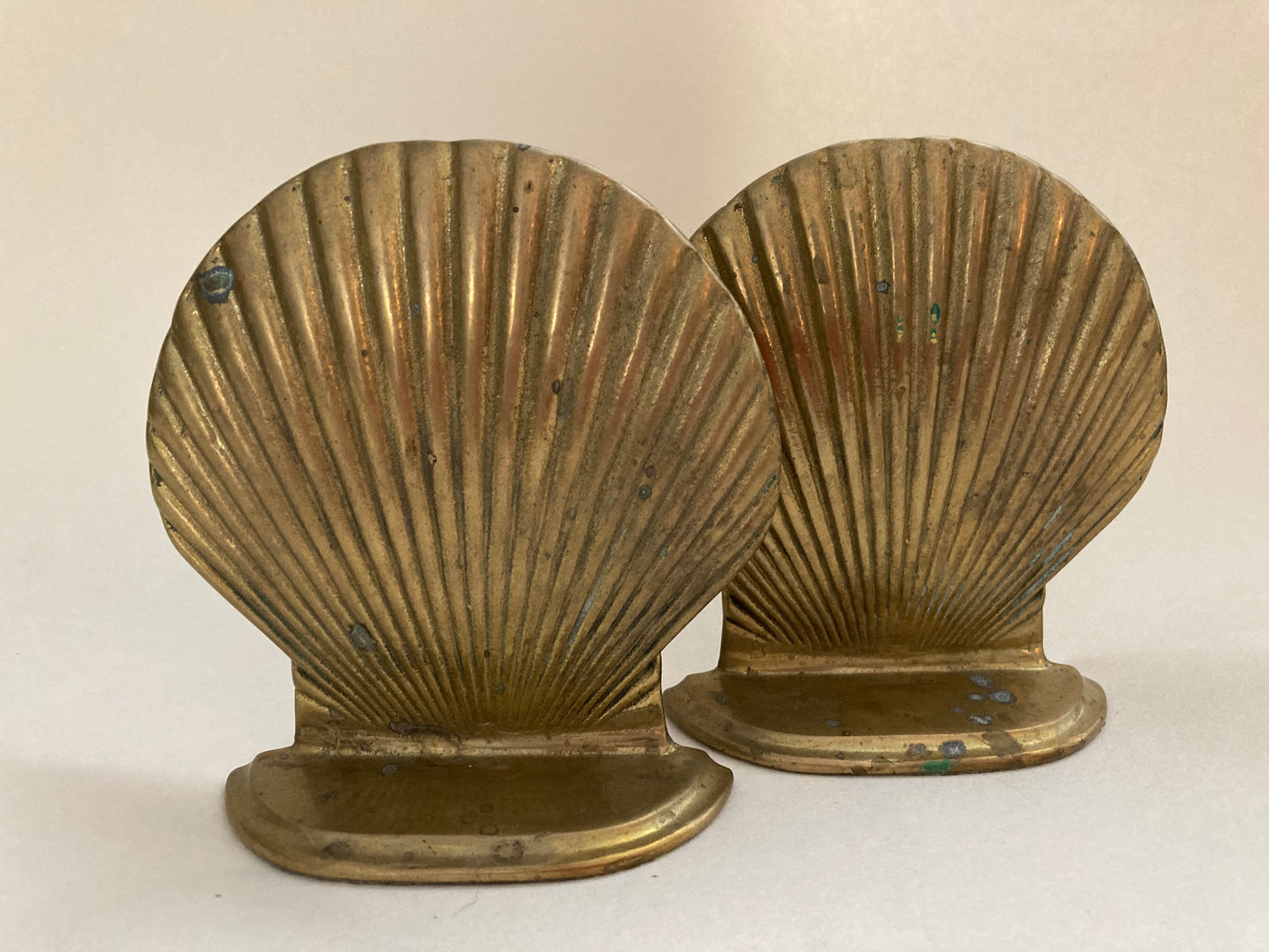 Shell Bookends