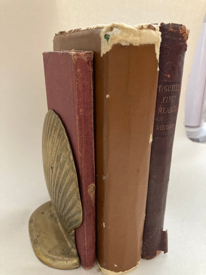 Shell Bookends