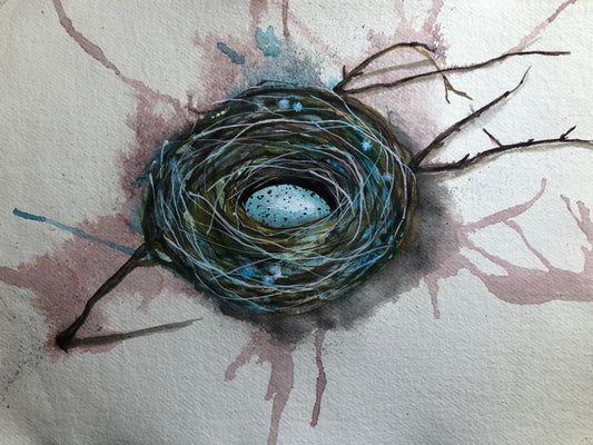 “Song Bird Nest”